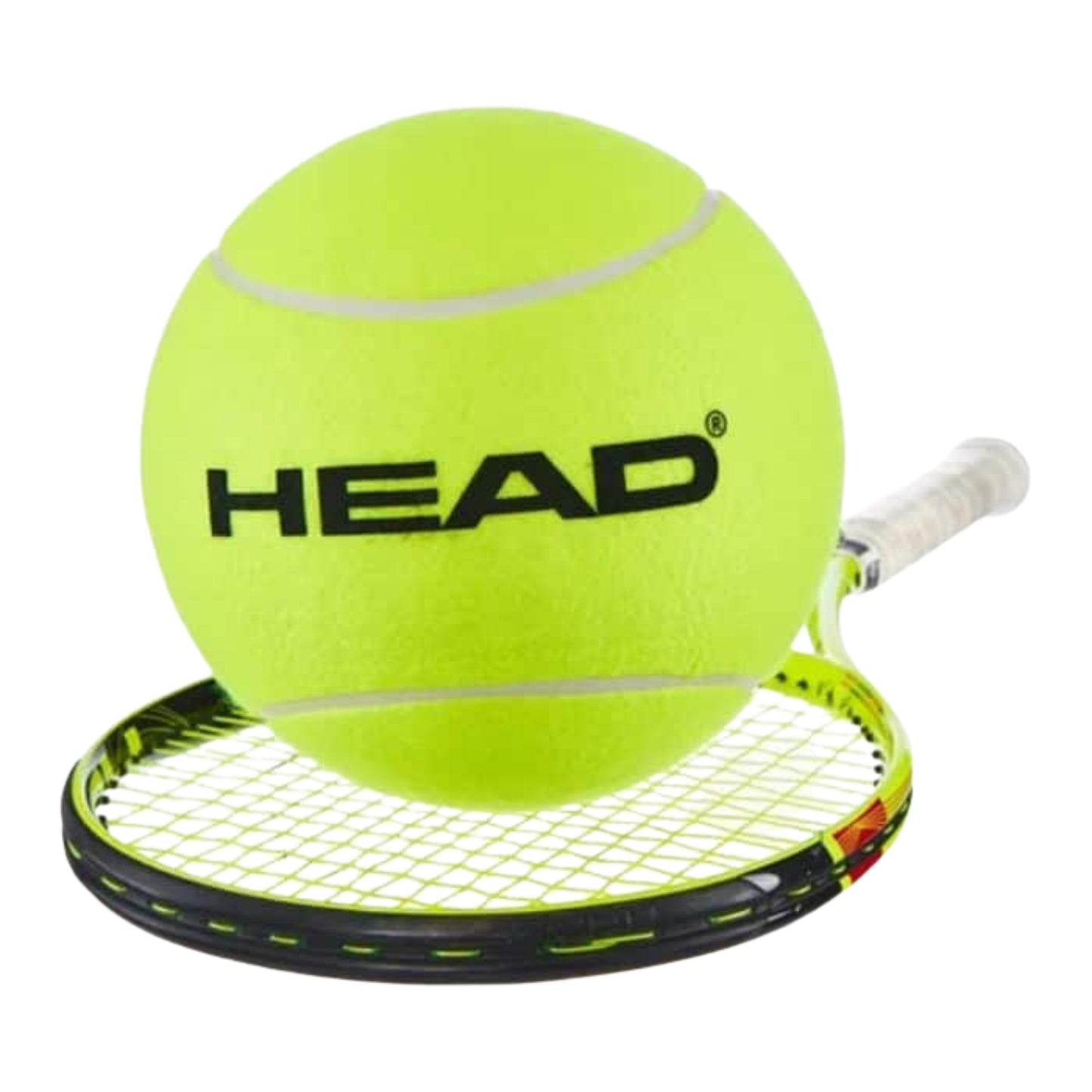 Pelota Head Gigante